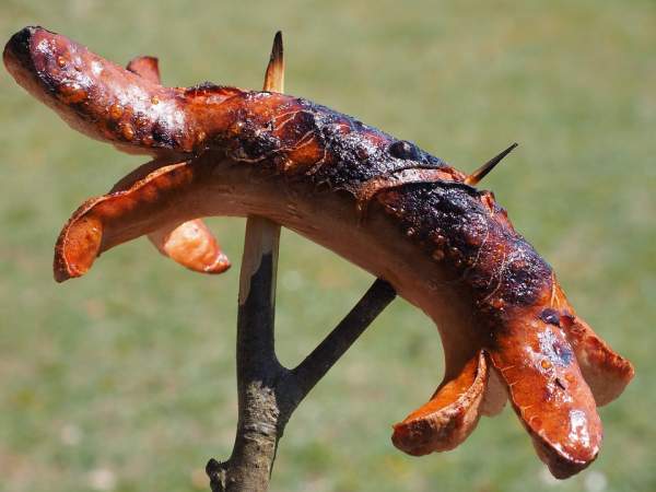 Évite de manger la viande carbonisée du barbecue, c’est dangereux pour ta santé.