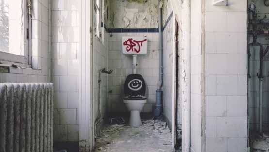 Les toilettes utilisées actuellement en Occident sont-elles obsolètes ?